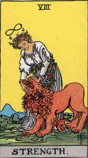 Strength tarot card